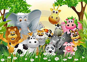 Funny animal wildlife cartoon collection