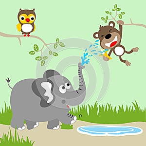 Funny animals cartoon in jungle