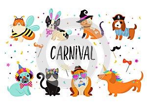 Funny animals, pets. Cute dogs and cats with a colorful carnival costumes, vector illustration