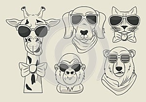 Legrační zvířata sluneční brýle chladný styl 