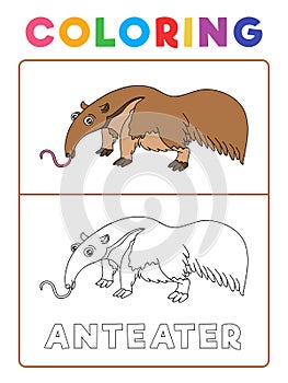 Funny Anteater Animal Coloring Book with Example. Preschool worksheet for practicing fine colors recognition skill. Vector Cartoon