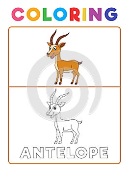 Funny Antelope Deer Animal Coloring Book with Example. Preschool worksheet for practicing fine colors recognition skill. Vector photo