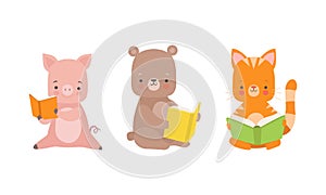 Funny Baby Animals Reading Books Set, Adorable Little Pig, Cat and Bear Sitting and Learning, Kids Education Concept