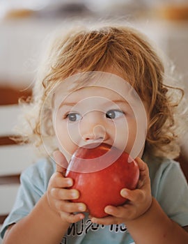 Funny baby eat apple. Kid eating fruit. Little boy biting apple. Healthy nutrition for kids. Solid food for infant