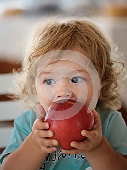 Funny baby eat apple. Kid eating fruit. Little boy biting apple. Healthy nutrition for kids. Solid food for infant
