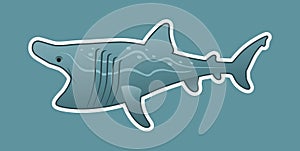 Funny basking shark