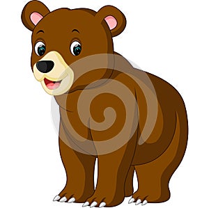 Funny bear Cartoon
