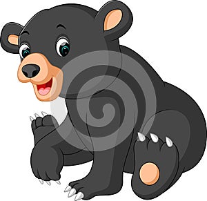 Funny bear Cartoon