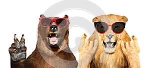 Funny bear and lion in sunglasses showing gestures