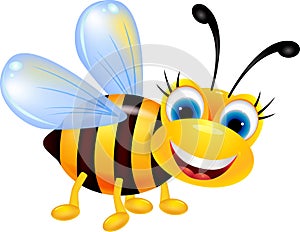 Funny bee cartoon