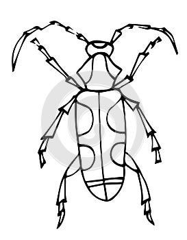 Funny beetle, hand drawn line art, doodle vector icon, coloring book page for children, kinder garden classes. Isolated