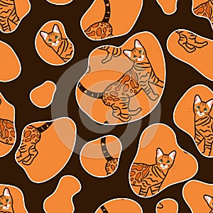 Funny Bengal cat seamless pattern background. Cartoon orange tabby spotted cat kitten background. Hand drawn childish vector