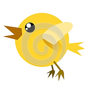 Funny bird