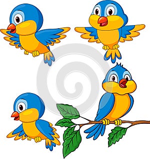 Funny bird cartoon set