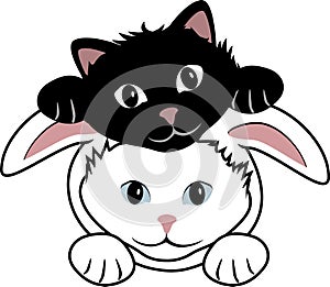 Funny black cat and white cat in bunny suit
