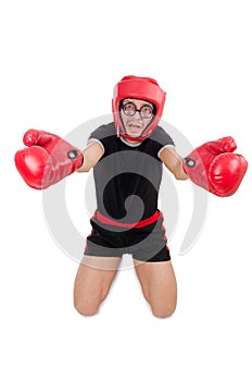 Funny boxer isolated