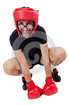 Funny boxer isolated on the white