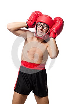 Funny boxer isolated on the white