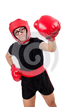 Funny boxer isolated on the white