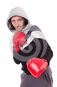 Funny boxer isolated on the white