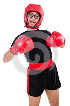 Funny boxer isolated on the white