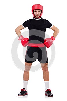 Funny boxer isolated on the white