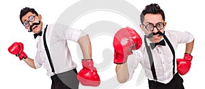 The funny boxer isolated on the white background