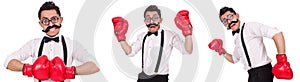 The funny boxer isolated on the white background