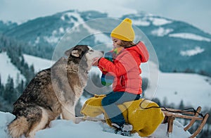 Funny boy having fun with husky dog on a sleigh in winte on snowy nature landscape. Dog wolves. Kids hugging tender