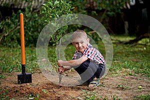 Funny boy with shovel in garden