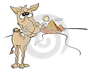 Funny Brown Camel, illustration