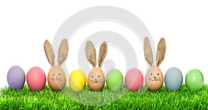 Funny bunny easter eggs. Holidays banner