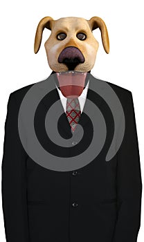 Funny Business Dog, Sales, Marketing