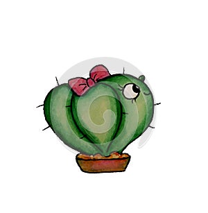 Funny cacti is in pot