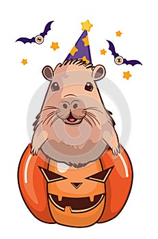 Funny capybara sit in pumpkin