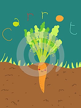 Funny carrot photo