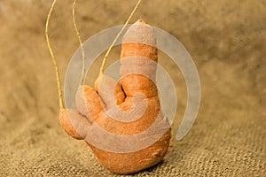 Funny carrots on a background of old burlap for text