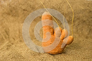 Funny carrots on a background of old burlap for text