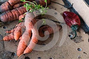 Funny carrots, homemade zero waste ugly food, antioxydant and non gmo vegetable, daucus carota