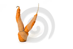 Funny carrots on white background for text