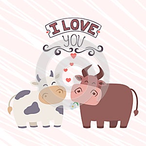 Funny cartoon animals cow and bull vector illustration. Valentines day, wedding congratulation, invitation card. Couple