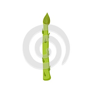 Funny cartoon asparagus. Cute vegetable. Vector food illustration isolated on white background