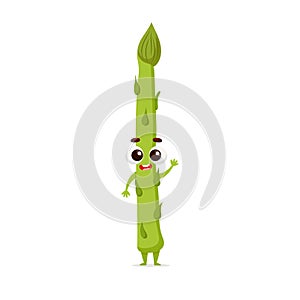 Funny cartoon asparagus. Kawaii vegetable character. Vector food illustration isolated on white background