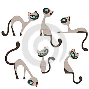 Siamese elegant cats design set photo