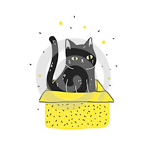 Funny cartoon black cat sit in box. Modern flat style pet vector illustration