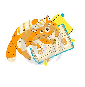 Funny cartoon cat reading books. Modern flat style pet vector illustration