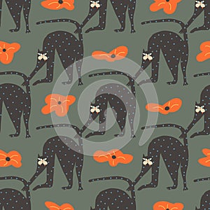 Funny cartoon cats and poppy flowers seamless pattern