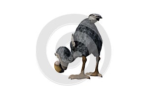 Funny cartoon character vulture baby isolated on a white background.