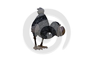 Funny cartoon character vulture baby isolated on a white background.