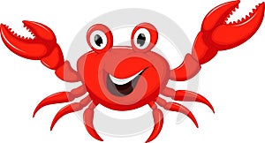 Funny cartoon crab photo